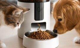 10 Best Automatic Pet Feeders for Busy Owners