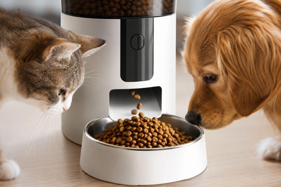 10 Best Automatic Pet Feeders for Busy Owners brobro10