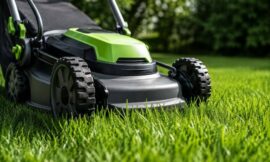 10 Best Lawn Mowers for Small Yards (Under 1/4 Acre)