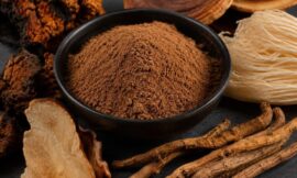 10 Best Mushroom Coffees and Adaptogen Drinks to Boost Focus